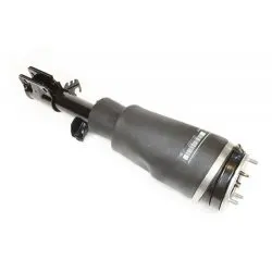 SHOCK ABSORBER AND AIR SPRING - RH
