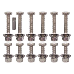 RVS SET ACHTERDEUR VANAF 2007 TORX