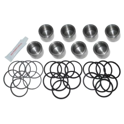 RVS REMZUIGERSET + AFDICHTINGEN VOORZIJDE