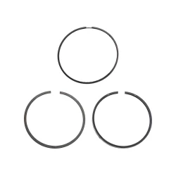2,2 TDCI PISTON RING SET