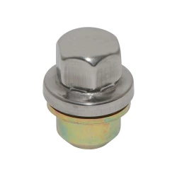 WIELMOER MET RVS KAP